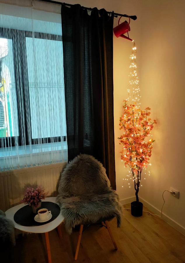22 Loop Apartment Μπρασόβ Εξωτερικό φωτογραφία